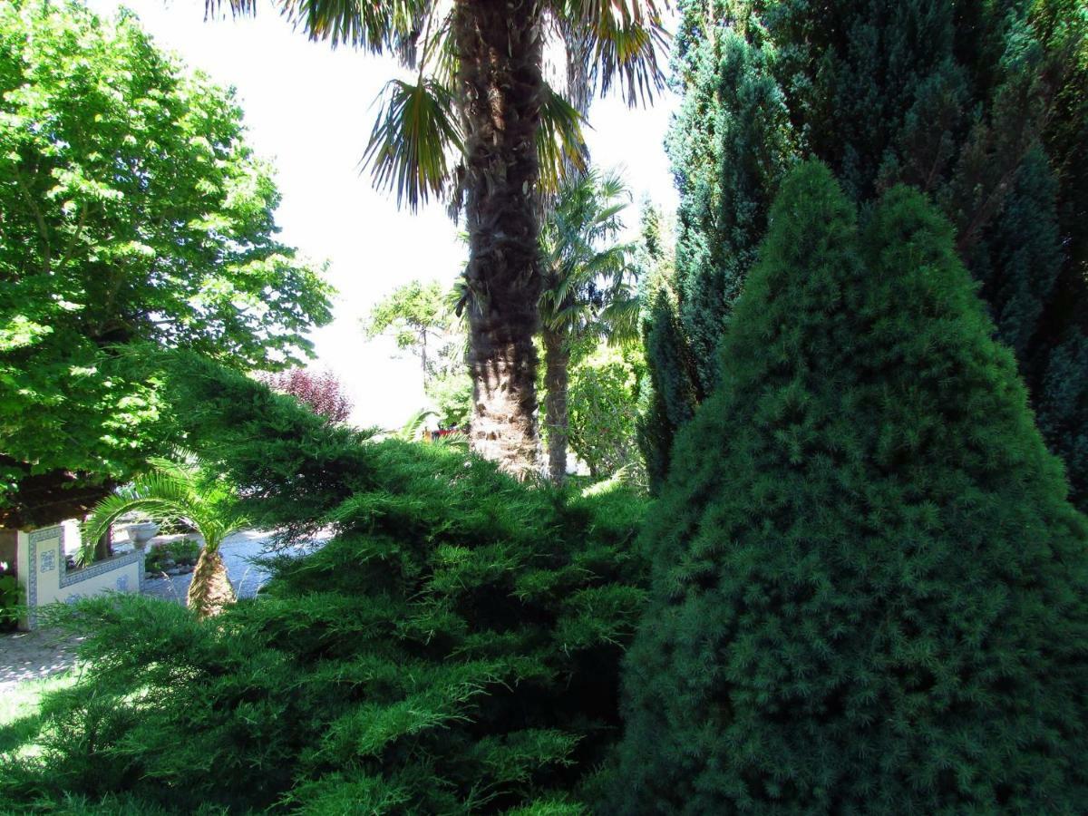 Вилла Quinta Do Guerra Boldrarias Экстерьер фото