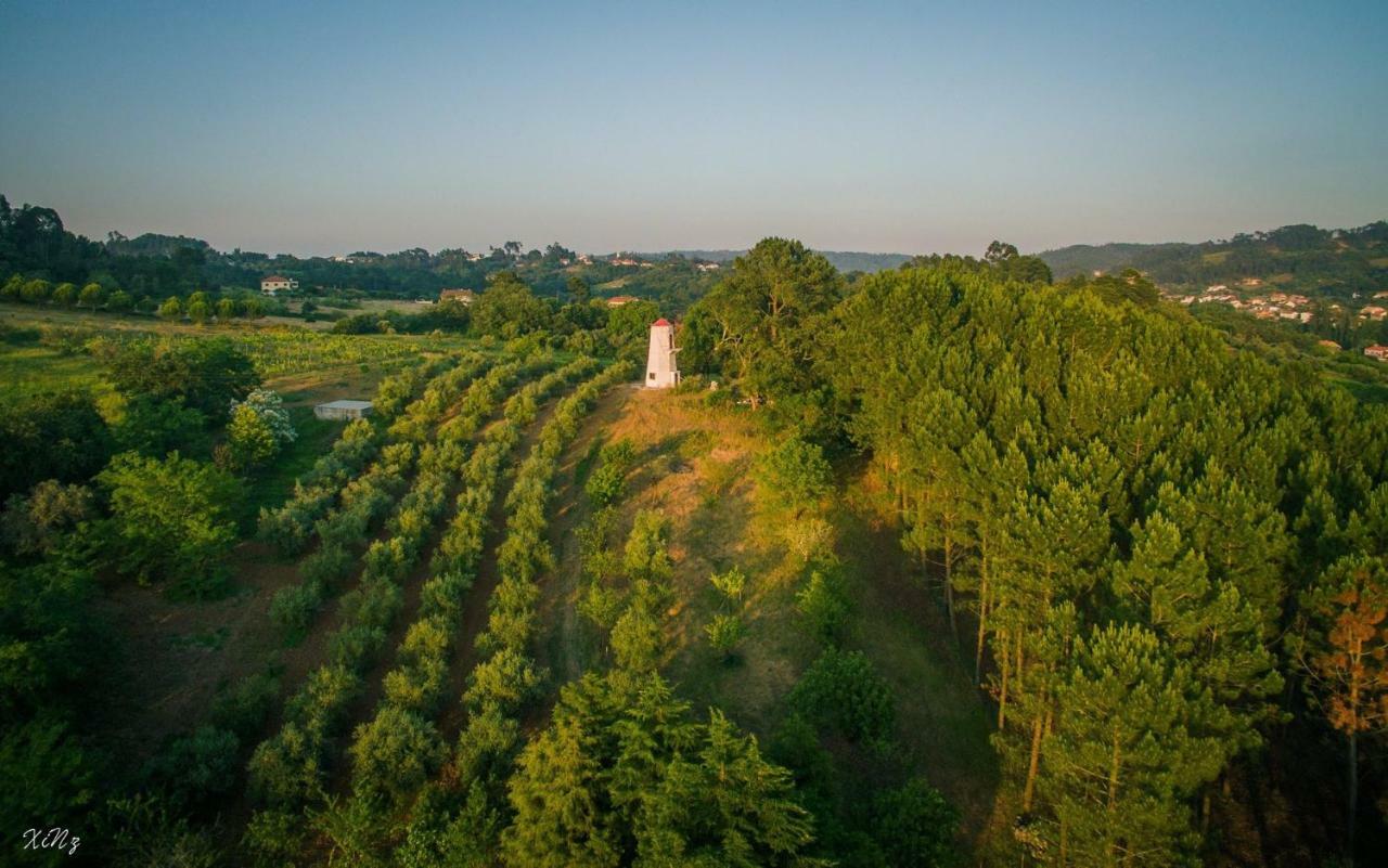Вилла Quinta Do Guerra Boldrarias Экстерьер фото